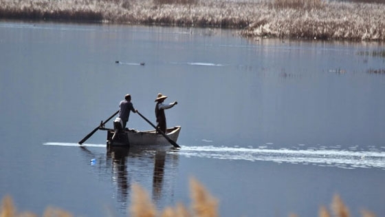 Απαγόρευση αλιείας σε περιοχές του Έβρου 