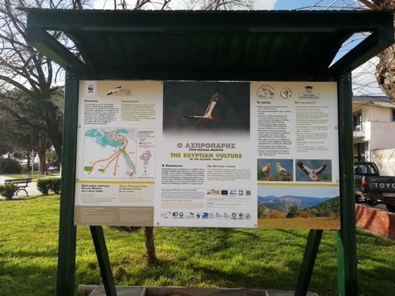 Ενημερωτικές πινακίδες για τον απειλούμενο Ασπροπάρη σε 5 οικισμούς της Θράκης από τo WWF 