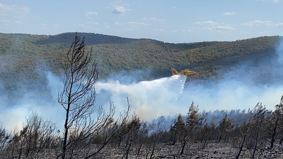 Μεγάλη πυρκαγιά έκαψε πευκοδάσος ανάμεσα σε Μελία και Νίψα στην Αλεξανδρούπολη (video & photo)