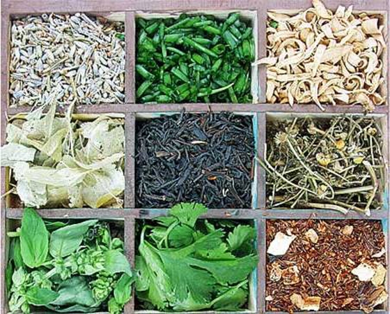 Το 1ο Πανελλήνιο Συνέδριο Αρωματικών & Φαρμακευτικών φυτών στην Αλεξ/πολη