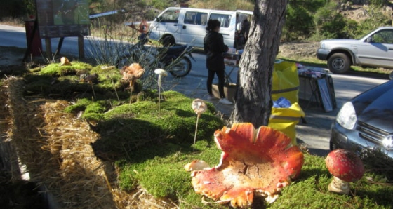 Πλήθος κόσμου στην 8η Γιορτή Μανιταριών στο Δάσος Δαδιάς