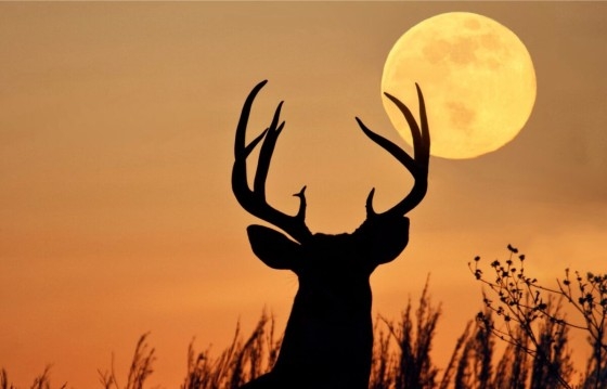 Tο φεγγάρι θα φαίνεται γεμάτο για τρεις συνεχόμενες ημέρες.