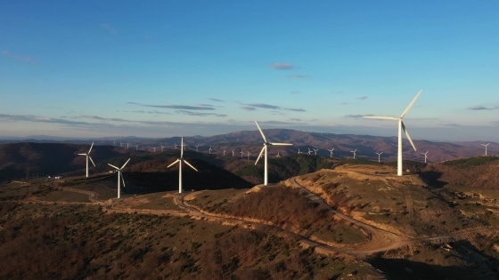 Αναστολή αδειοδότησης ΑΣΠΗΕ σε Έβρο και Ροδόπη ζητούν 9 περιβαλλοντικές οργανώσεις