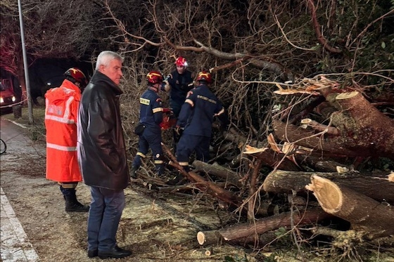 Μια ακόμη πρόταση για το μέλλον του Έβρου έφερε στη Βουλή ο βουλευτής Αναστάσιος Δημοσχάκης.