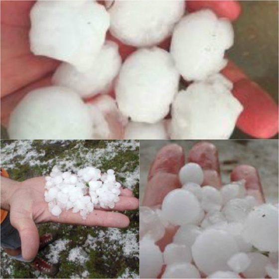 ‘Εβρος: Από 31 Ιουλίου οι δηλώσεις ζημιάς από χαλάζι - Σε απόγνωση οι αγρότες 