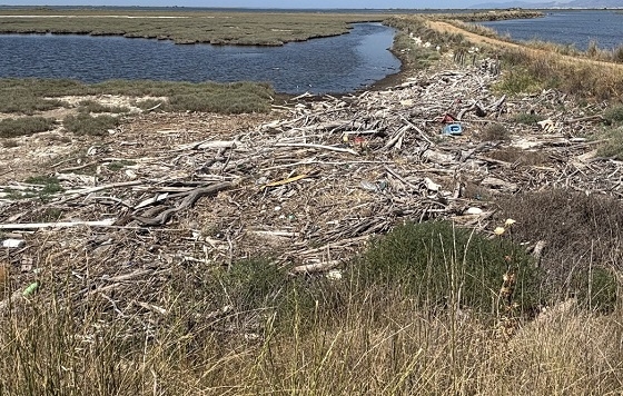 Έργα καθαρισμού υλοποιούνται στο Δέλτα του Έβρου.