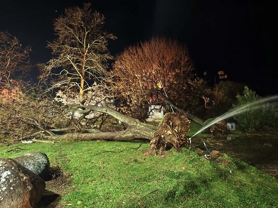 Θα διατεθούν δωρεάν ξύλα από δένδρα που έπεσαν στην Αλεξανδρούπολη κατά τη διάρκεια της καταιγίδας.