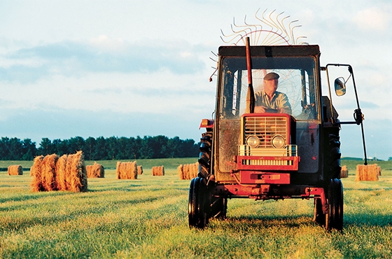 Υπήρξαν κάποια προβλήματα αναφορικά με τους κλάδους στους οποίους θα δοθούν οι αποζημιώσεις σε πρώτη φάση και εκείνους στους οποίους θα δοθούν στη συνέχεια. 