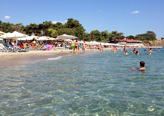 Ο πλειοδοτικός διαγωνισμός θα διεξαχθεί στην αίθουσα του Δημοτικού Συμβουλίου Αλεξανδρούπολης την Τετάρτη, 3 Ιουνίου 2015