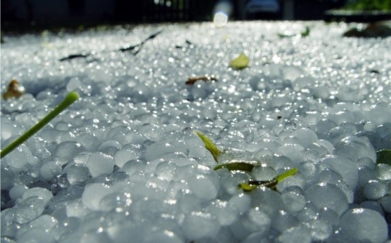 Φωτογραφία αρχείου