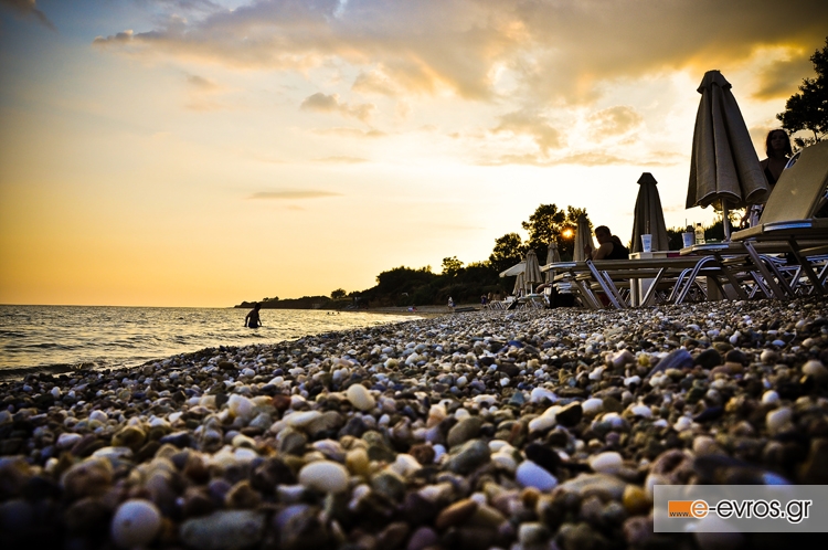 Έλεγχοι των δασικών υπηρεσιών σε παραλίες του Έβρου και της Ροδόπης