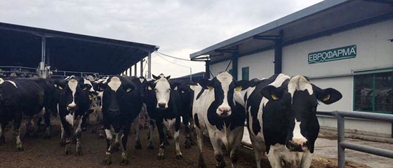 H μεγαλύτερη εταιρεία γενετικής παγκοσμίως έκανε αφιέρωμα στην ΕΒΡΟΦΑΡΜΑ