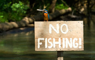 Από τις 15 Απριλίου έως και τις 30 Μαϊου απαγορεύεται η αλιεία με κάθε μέσο στον Έβρο.