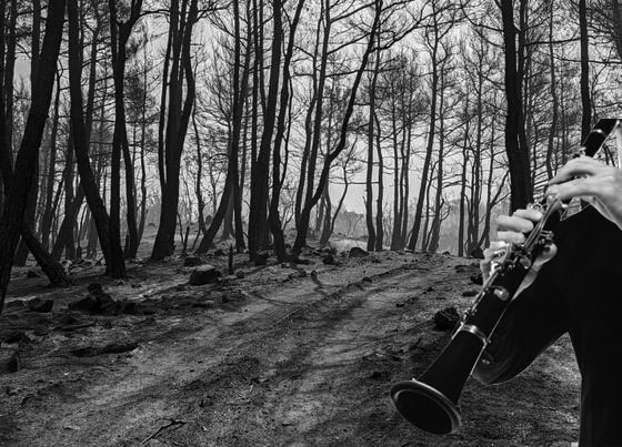 Σε μια Αλεξανδρούπολη, που ακόμα πενθεί, άλλοι ονειρεύονται γλέντια με κλαρίνα. 