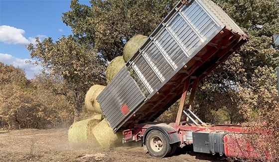 Ευχή όλων μας, να δούμε κι άλλες πράξεις αλληλεγγύης να συμβαίνουν!