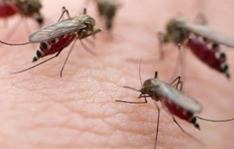 Το 1/3 των κρουσμάτων πανελληνίως στην ΑΜΘ.