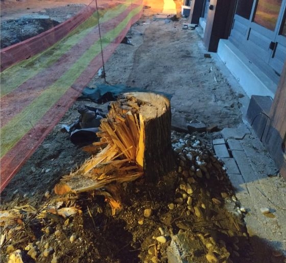 Φωτογραφία του Γιώργου Πανταζίδη