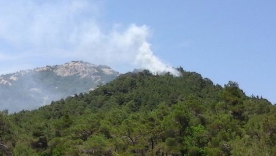 Πυρκαγιά από κεραυνό στο Εθνικό Πάρκο Δαδιάς.