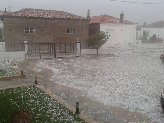 3.000 στρέμματα αμπέλι "χτύπησε" το χαλάζι στο Σουφλί.