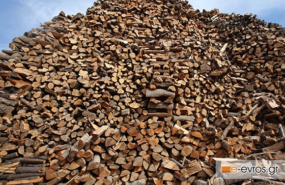Διδυμότειχο: Ελεύθερη η συλλογή πεσμένων δένδρων
