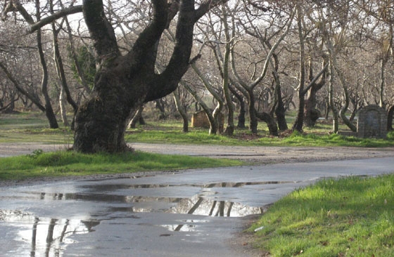 Τρεις νεκροί Αλεξανδρουπολίτες ανασύρθηκαν από ρεματιά της Μαΐστρου