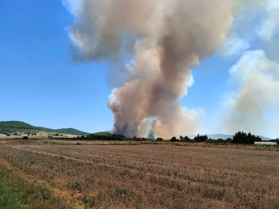 Η φωτιά καίει δασική έκταση.
