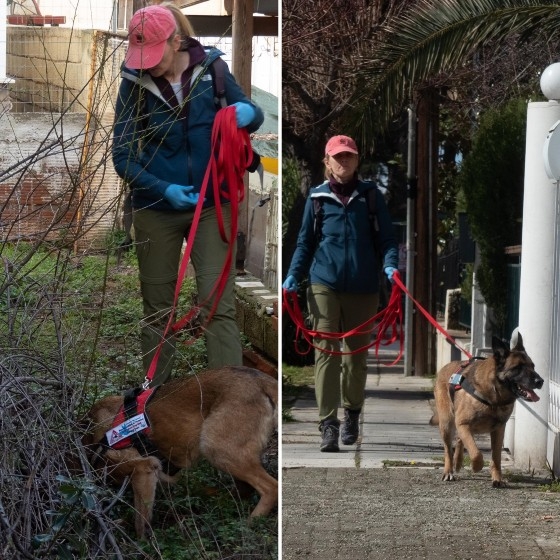 Ο εκπαιδευμένος σκύλος Κίκο "χτένισε" περιοχή της Αλεξανδρούπολης για φόλες & δηλητηριασμένα σκυλιά!