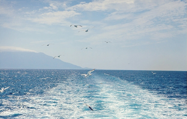 Δεκαεπτά παράνομοι μετανάστες εντοπίστηκαν.