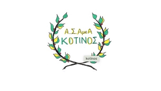 Ο Κότινος έχει ενεργητική παρουσία στην ευαισθητοποίηση του κοινού σε θέματα αναπηρίας και κοινωνικής ένταξης.