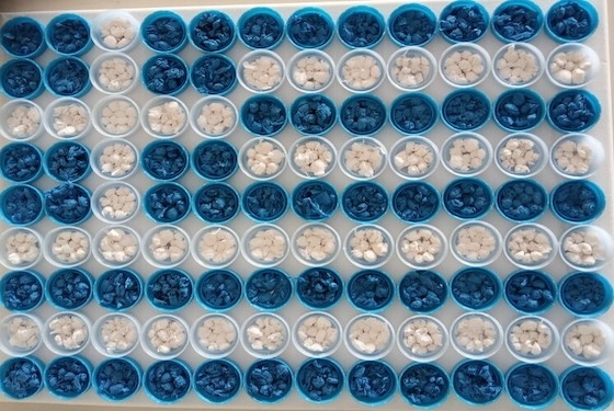 Κάθε χρήστης μπορεί να δώσει έως 3 ψήφους.