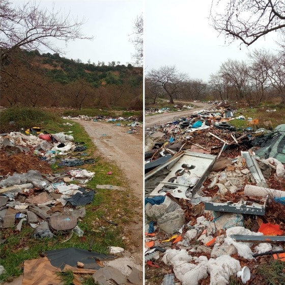 Οι φωτογραφίες είναι του κ. Διονύση Δεληγιάννη.