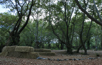 Η κατασκευή του μέχρι σήμερα δεν ευδοκίμησε για πολλούς λόγους.