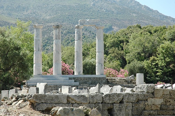 Στο πρόγραμμα εντάσσονται βραδιές με παραδοσιακή μουσική, έκθεση ζωγραφικής ντόπιων καλλιτεχνών, ημερίδες και συνέδρια - συμπόσια