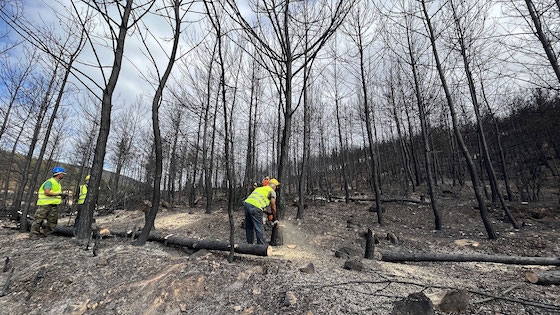 Δρομολογείται η εκτέλεση έργων ύψους 86 εκ. ευρώ με χρηματοδότηση από το Ταμείο Ανάκαμψης καθώς και οι αποζημιώσεις των αγροτών μέσω του ΕΛΓΑ.
