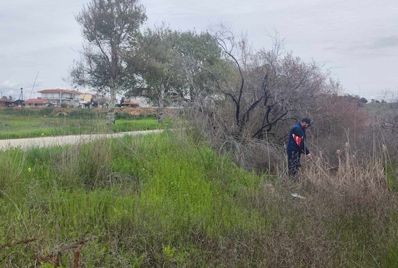 Οι επίγειοι ψεκασμοί κατά των προνυμφών θα συνεχιστούν για όσο διάστημα κριθεί αναγκαίο.