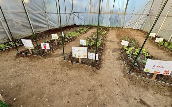 Κάθε τάξη έχει το δικό της παρτέρι με τα δικά της λαχανικά!