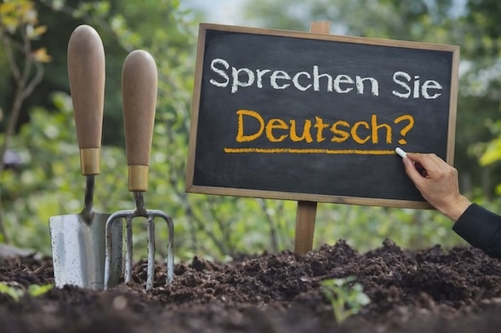 Τα προσφερόμενα προγράμματα μπορούν να παρακολουθήσουν ενήλικες ανεξαρτήτως χώρας καταγωγής, ηλικίας και μόρφωσης και είναι δωρεάν.