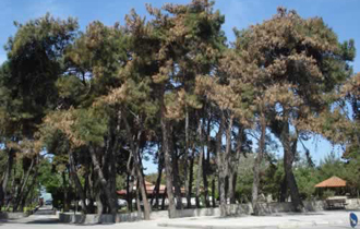 Η τελετή ονοματοδοσίας θα πραγματοποιηθεί την Κυριακή 15 Σεπτεμβρίου στις 11:00.