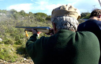 Η έκδοση ξεκίνησε από τις 6 Αυγούστου.