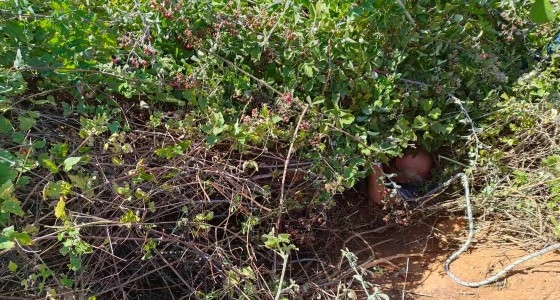 Αλεξανδρούπολη: Διεσώθη άντρας που ήταν εγκλωβισμένος σε βατομουριά (φωτο)