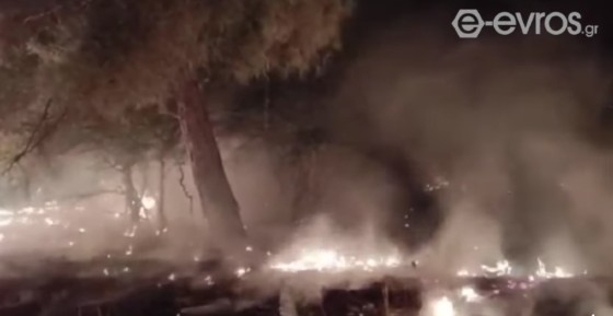 Η πυρκαγιά στη Δαδιά ήταν η δυσκολότερη του 2022 σε όλη την Ελλάδα!