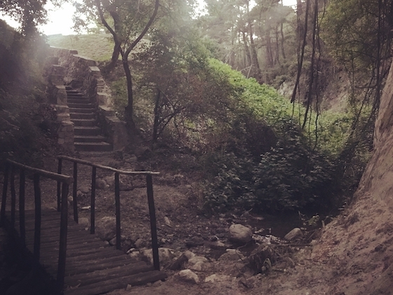 Συζητήθηκαν οι προοπτικές όσον αναφορά την αξιοποίηση των ευρημάτων από απολιθώματα που βρίσκονται ανεκμετάλλευτα στην περιοχή του Φυλακτού.