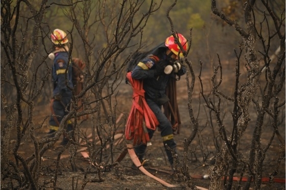 Φωτογραφία αρχείου από την καταστροφική πυρκαγιά του Έβρου (φωτ: Αλεξούδης Δημήτρης)