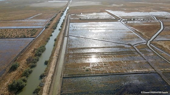 Η αποκατάσταση της φύσης για τη Νανόχηνα