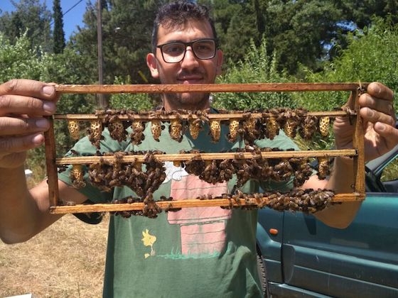Ο νέος πρόεδρος του Μελισσοκομικού Συλλόγου κεντρικού Έβρου «Η Κυψέλη», Γιάννης Καλογιαντσίδης 
