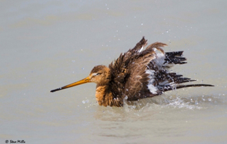 Καταγράφηκαν και πάλι εξαιρετικοί αριθμοί.