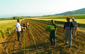 Δίδεται με τη μορφή επιδότησης και καταβάλλεται σε τρεις δόσεις.