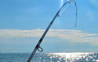 Ανιχνεύτηκε βακτήριο  στη σάρκα και στο ενδοθυρικό υγρό των μυδιών.