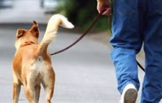 Σε εφαρμογή τίθεται από σήμερα ο νόμος 4039/12.