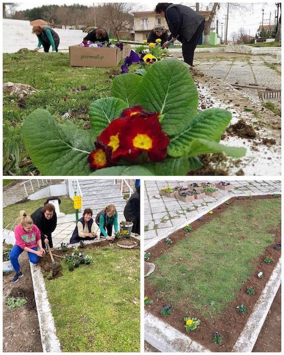 Παντού φυτεύτηκαν όμορφα, πολύχρωμα ανοιξιάτικα λουλούδια!